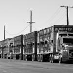 You Need To Know: Lost Cargo From Trucks Can Cause Multiple Accidents