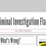 Major Flaws in Private Investigation Services