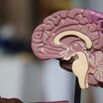 The effects and treatments for electrocution brain injuries